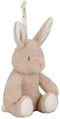 Little Dutch Newborn - Knuffelkonijn Licht & Geluid - Bruin