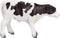 Mojo Farmland Holstein Kalf Staand - 387061