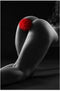 Sweet Caress - Buttplug met Ponpon - Rood - 3cm Diameter