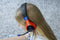 Bigben Interactive Wired Stereo Gaming Headset V1 - Stereo - 40mm speakers - Blauw/Rood