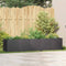 vidaXL - Plantenbak - 200x40x40 - cm - koudgewalst - staal - zwart