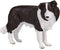 Mojo Farmland Border Collie - 387203