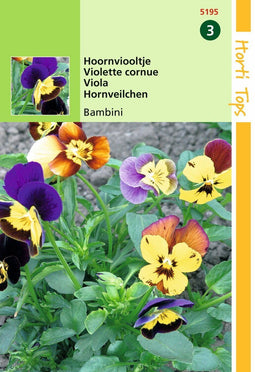 2 stuks - Hortitops - HT Viola, Hoornviooltje Bambini gemengd