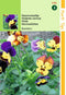 2 stuks - Hortitops - HT Viola, Hoornviooltje Bambini gemengd
