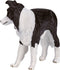 Mojo Farmland Border Collie - 387203