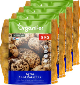 Pootaardappelen Agria A 28/35 - 20 Kg - Plantgoed - Nak-Gecertificeerd - Goede Resistentie Tegen Knol-Phytophthora - Geschikt Voor Klei- En Zandgronden - Bij Voorkeur Direct Na Oogst Gebruiken - Oogst In 140 Dagen - Organifer