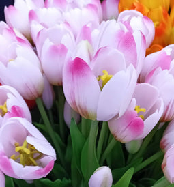 Driesprong collection - Boeket 5 Tulpen Lichtpaars