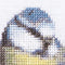 Thea Gouverneur - Borduurpakket met telpatroon - 509A - Voorgesorteerde DMC Garens - Geboortetegel Mees - Aida - 15 cm x 15 cm - DIY Kit