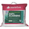 BLANREVE Set van 2 drievoudige beschermingskussens - 60 x 60 cm - wit