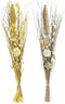 Boeket DKD Home Decor Natuurlijk Gouden Wit Geel Gedroogde bloem (30 x 30 x 100 cm) (2 Stuks)