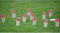 Bex Sport Family Numbers Kubb Berkenhout