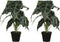 Mica Decorations Alocasia Kunstplant in Bloempot - H50 x Ø30 cm - Groen