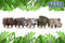 Kinderkruk - Neushoorn - Feel Furniture - Krukje Dieren - Dierenstoel -