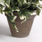 Mica Decorations Hedera - Kunstplant in keramieken pot - L45 x B25 x H25 cm - Groen