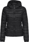 ONLY ONLTAHOE HOOD JACKET OTW - Korte gewatteerde jas met capuchon - Maat L