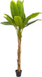 Emerald - Kunstboom Bananenboom 150cm - Kunstplanten voor binnen