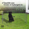 Infinity Goods Puppyren - Hondenren - 8 Panelen - 60 x 76 CM - 608 CM Omtrek - Opvouwbaar - Met Deur