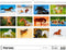 C152-24 Kalender 2024 Wilde paarden