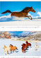 C152-24 Kalender 2024 Wilde paarden