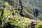Rogelli Electro - Hardloopjack - Ventilerend en waterafstotend - Donkerblauw Zwart Fluor - Maat S