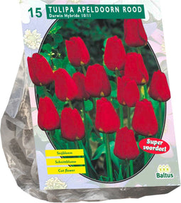 Baltus - Bollen Tulipa Apeldoorn rood 15 stuks