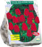 Baltus - Bollen Tulipa Apeldoorn rood 15 stuks