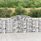 vidaXL - Schanskorven - 9 - st - gewelfd - 300x30x100/120 - cm - ijzer