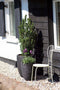 Capi Europe - Vaas Rib NL - Breukbestendig - Ivoor - 34x46 cm