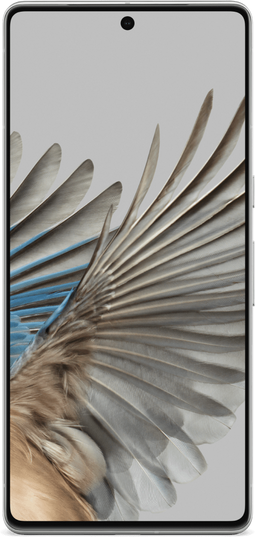 Google Pixel 7 Pro - Smartphone - 256GB opslag - Wit