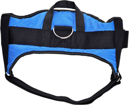 Hondentuigje Hearts & Homies Blauw Maat M