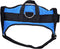 Hondentuigje Hearts & Homies Blauw Maat M