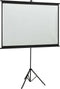 vidaXL - Projectiescherm - met - statief - 1:1 - 67''