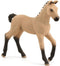 schleich HORSE CLUB - Hannover veulen - 13929