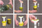 Ananas snijder met wedger J-Hook - Tomorrow's Kitchen