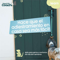 Hondentuigje Coachi