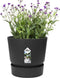 Elho Greenville Rond 16 - Bloempot Buiten met Waterreservoir - 100% Gerecycled Plastic - Ø 16 x H 15.3 cm - Living black