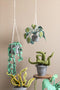 KidsDepot Plant Alocasia Vilt - Sierplant - Kunstplant - Kinderkamer of woonkamer