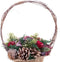Christmas Kerstversiering Rood Multicolour Rotan Plastic Foam Ananas Mand 21 X 21 X 30 Cm