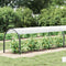 vidaXL - Plantenafdekking - met - zeilringen - 1x10 - m - polyethyleen
