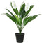 Mica Decorations Espatifilo - Decoratieve plant - Kunststof - Voor binnen