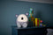 Bigben Interactive Coco - Bluetooth speaker met nachtlamp - 15W - Oplaadbaar
