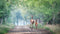 Customize it - Tuinschilderij van achteren 70x50cm