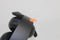 Sony PlayStation Pulse Elite - Draadloze headset - 3D-audio - Zwart