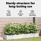 vidaXL - Tuinplantenbakken - met - Waterirrigatiesysteem - - - 4 - stuks - - - Wit