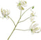 Silk-ka Kunstbloem-Zijden Bloemen Gloriosa Tak Crème 89 cm