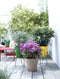 Elho Loft Urban Rond 50 - Bloempot - Ø 48.5 x H 44.5 cm - Warm grijs