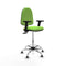 Piqueras y Crespo B2D05RT - Bureaustoel - Hoogteverstelbaar met armleuning - Pistache