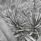 Komar - Fotobehang - Amazonia - Black - and - White - 400x250 - cm