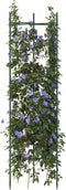 vidaXL - Tomatenkooien - 6 - st - 116 - cm - staal - en - polypropeen