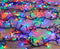 Anna's Collection Clusterverlichting -gekleurd - 1152 led lampjes - 15m - zwart snoer